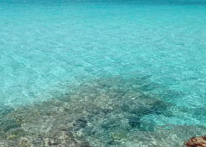 فندق مبيت وإفطار Lungomare Galilei 3*